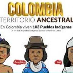 CULTURA INDÍGENA