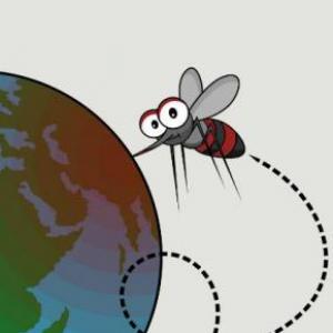 MEMO AEDES AEGYPTI