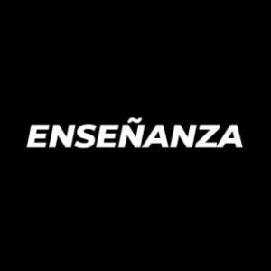 ENSEÑANZA TEXTO DE SILVINA VIRTZ