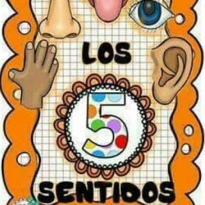 LOS SENTIDOS