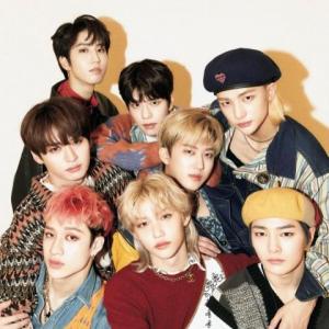 Finding Stray Kids