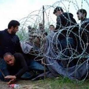 La migración: pasado y presente