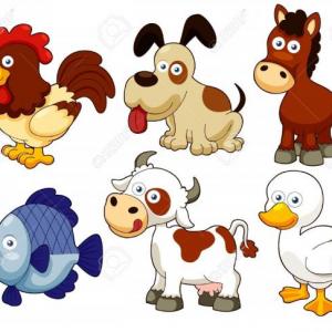 los animales domésticos y salvajes 