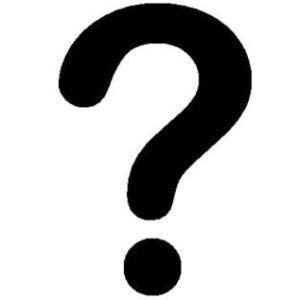 INTERROGANDO AL VERBO