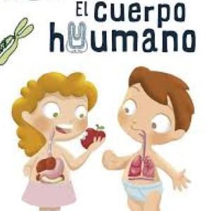 El cuerpo humano