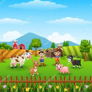 ANIMALES DOMESTICOS