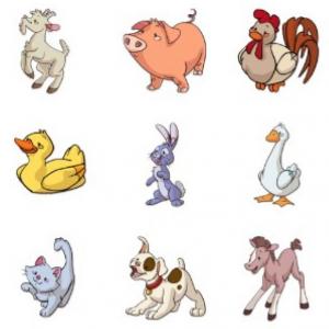 ANIMALES DOMESTICOS