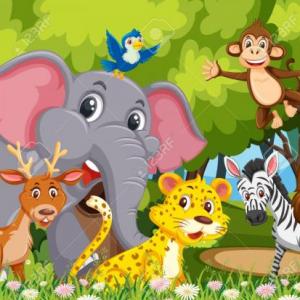 ANIMALS