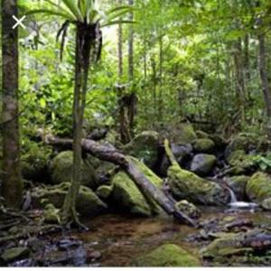 Recursos Naturales