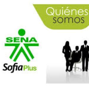Guiando al aprendiz