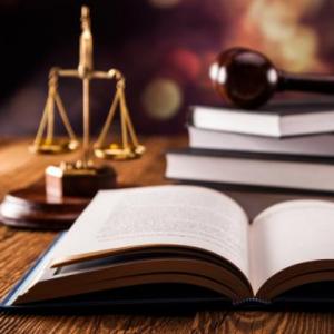Principios constitucionales, derechos humanos y medios de defensa