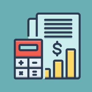 CONTABILIDAD EN LAS ORGANIZACIONES