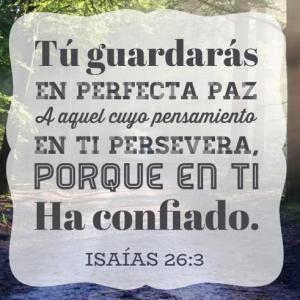 EL FRUTO DE LA PAZ