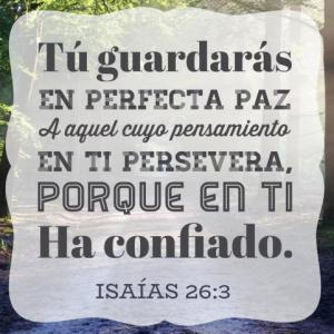 EL FRUTO DE LA PAZ