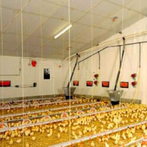 Instalaciones avícolas