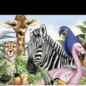 Animalandia