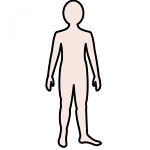 PARTES DEL CUERPO CORRESPONDENCIA