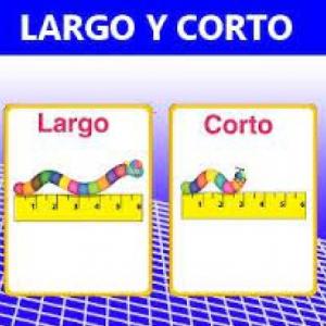 Imagen de portada del videojuego educativo: Memoria de Largo-Corto, de la temática Matemáticas