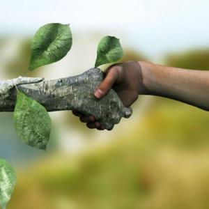 ETICA AMBIENTAL