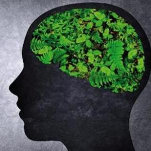 ETICA AMBIENTAL