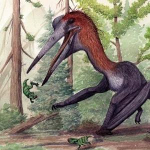 ¿Es o no dinosaurio?
