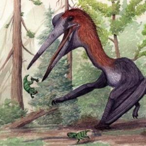 ¿Es o no un dinosaurio?
