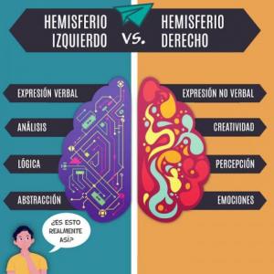 Hemisferios cerebrales