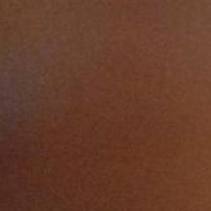 Carla Flores