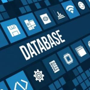 Apropiación del conocimiento sobre la base de datos