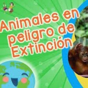 Animales en peligro de extinción