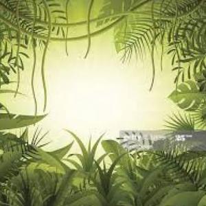 LA SELVA DE PREGUNTAS GRAMATICALES