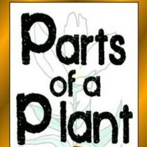 Parts of a plant