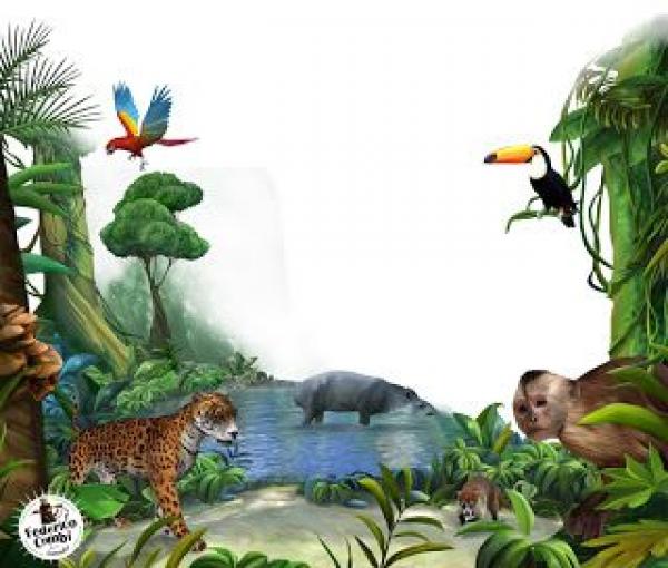 Conociendo nuestros ecosistemas