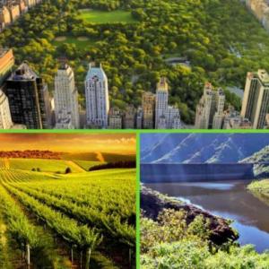 ECOSISTEMAS ARTIFICIALES