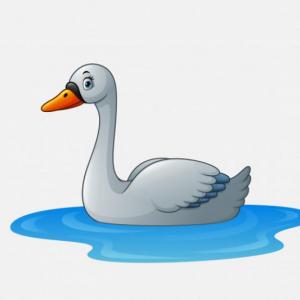 Los Cisnes 