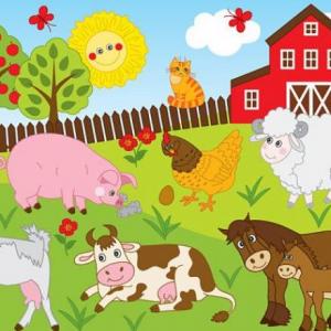 Portada del juego What are they doing? – Idiomas