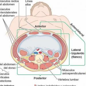 Anatomy questions