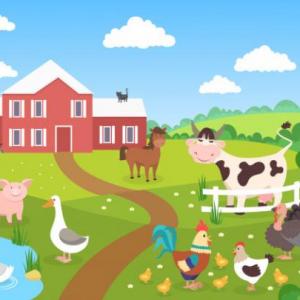 Mundo animal