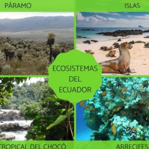 ECOSISTEMAS DEL ECUADOR