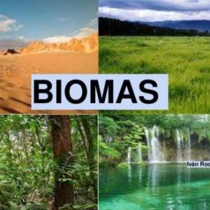 BIOMAS DEL MUNDO
