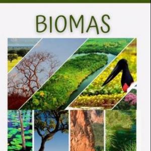 BIOMAS DEL MUNDO