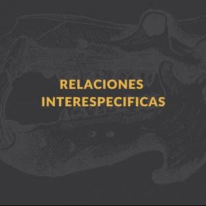 RELACIONES INTERESPECIFICAS