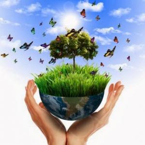 Trivia del medio ambiente