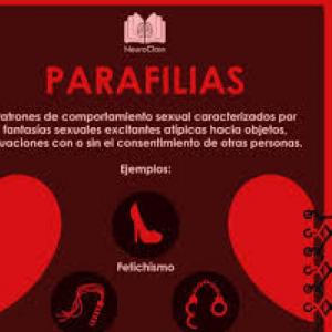 Juego de Trivia Parafilias 