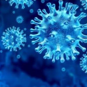 Imagen de portada del videojuego educativo: Coronavirus, de la temática Biología