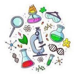 Imagen de portada del videojuego educativo: Ciencias Naturales , de la temática Salud
