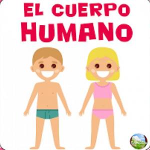 ¿RECORDAS LAS PARTES DE TU CUERPO?