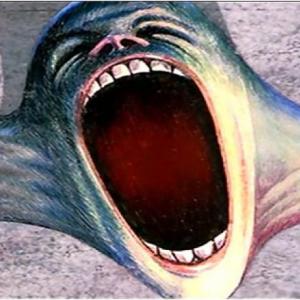 Un Rostro Desfigurado
