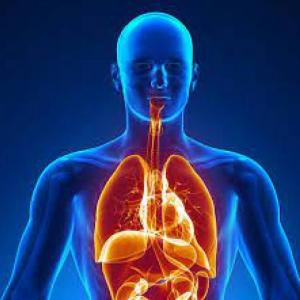 información sobre el cuerpo