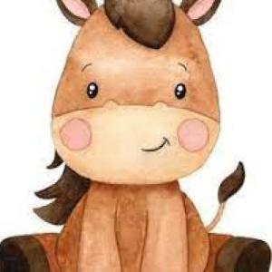 ANIMALES DE GRANJA